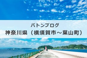 バトンブログ「神奈川県（横須賀市～羽山町）」