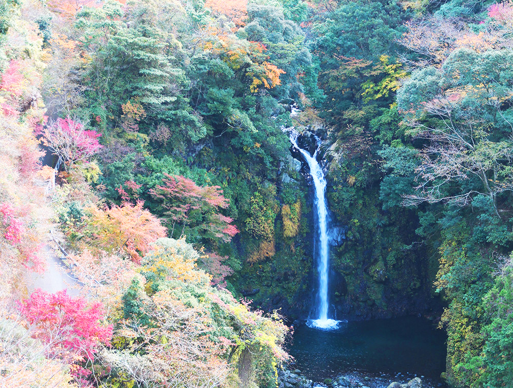 須津川渓谷の大棚の滝と紅葉
