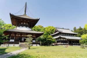 和歌山県岩出市 根来寺の大塔と大伝法堂
