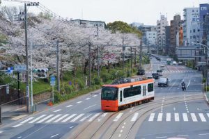 飛鳥山公園と都電（東京都北区）